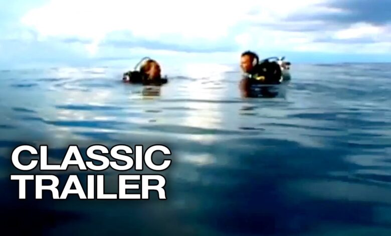 قصة فيلم open water